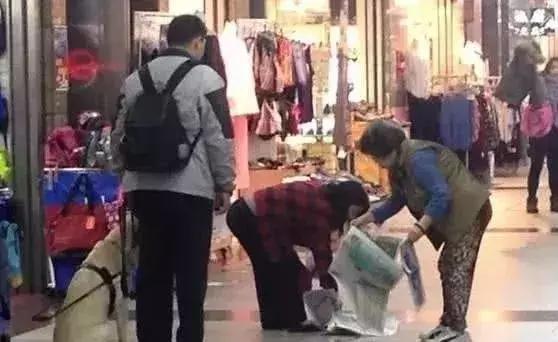 實在沒忍住！導盲犬任務在身不小心「尿店家門口」垂頭喪氣超自責　店家「不打罵」小舉動暖到心裡