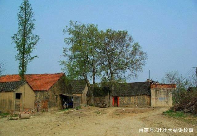 姑姑把我撫養大，每月給她寄2萬還說不夠花，悄悄回鄉我愣在窗外