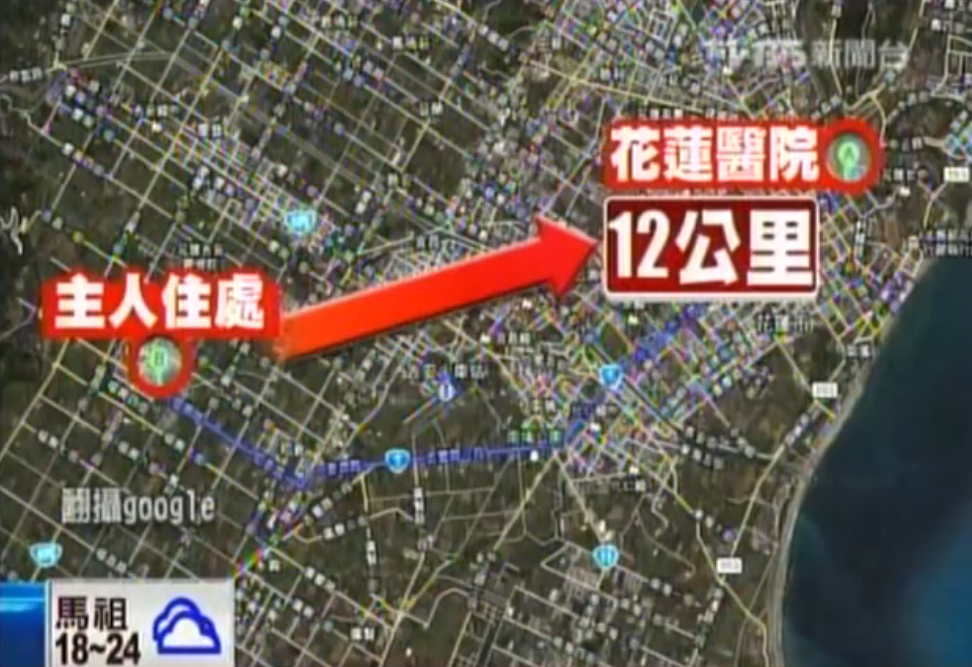 不知道主人走了！忠犬小黑半年來「每天走12公里」苦守醫院不離不棄：主人是我唯一
