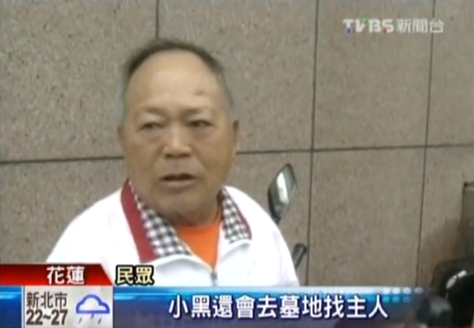 不知道主人走了！忠犬小黑半年來「每天走12公里」苦守醫院不離不棄：主人是我唯一