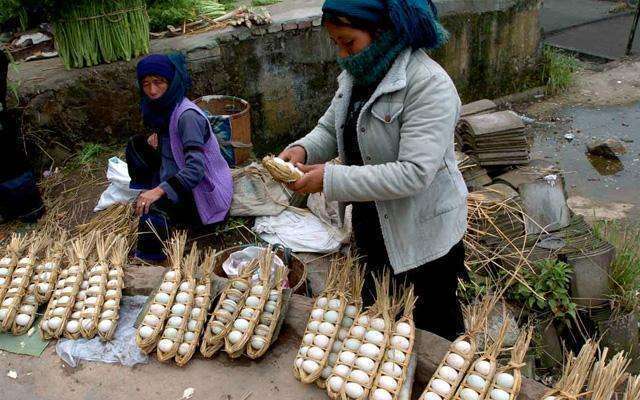 女子救條蛇，蛇報恩吐出一物，幾個月後，女子卻葬於蛇腹！