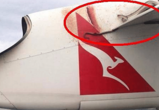 飛行中途旅客全都「拿出手機朝外拍照」, 男子好奇伸頭看了一眼，嚇得叫出聲：立刻找機長！