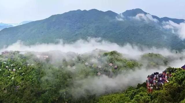 讓舒淇都直呼「不真實」！這個頂級森林度假村　自然美景宛若人間仙境