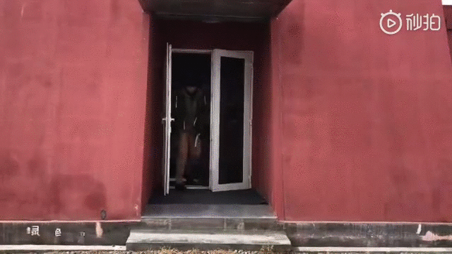 連胡歌都敬佩的女人！ 十年來為環保吃素  積極獻身公益活像「苦行僧」 他讚嘆：只能仰望她