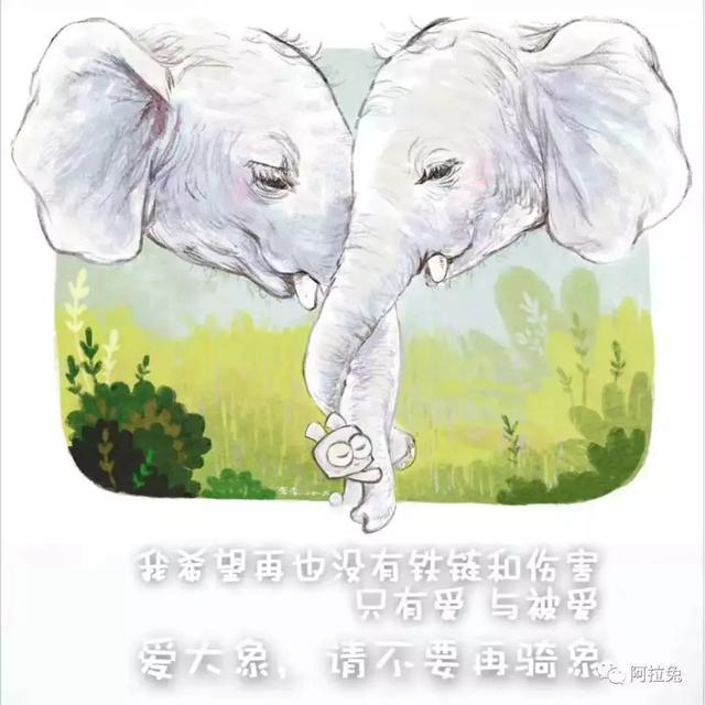 連胡歌都敬佩的女人！ 十年來為環保吃素  積極獻身公益活像「苦行僧」 他讚嘆：只能仰望她