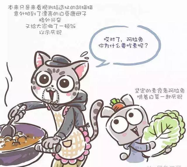 連胡歌都敬佩的女人！ 十年來為環保吃素  積極獻身公益活像「苦行僧」 他讚嘆：只能仰望她