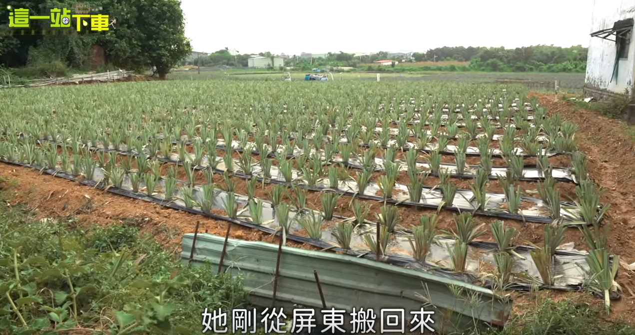 因一場病改變人生！「每日狂掉髮」忍痛卸下模特兒身分 「為陪單親媽圓夢」毅然回到家鄉