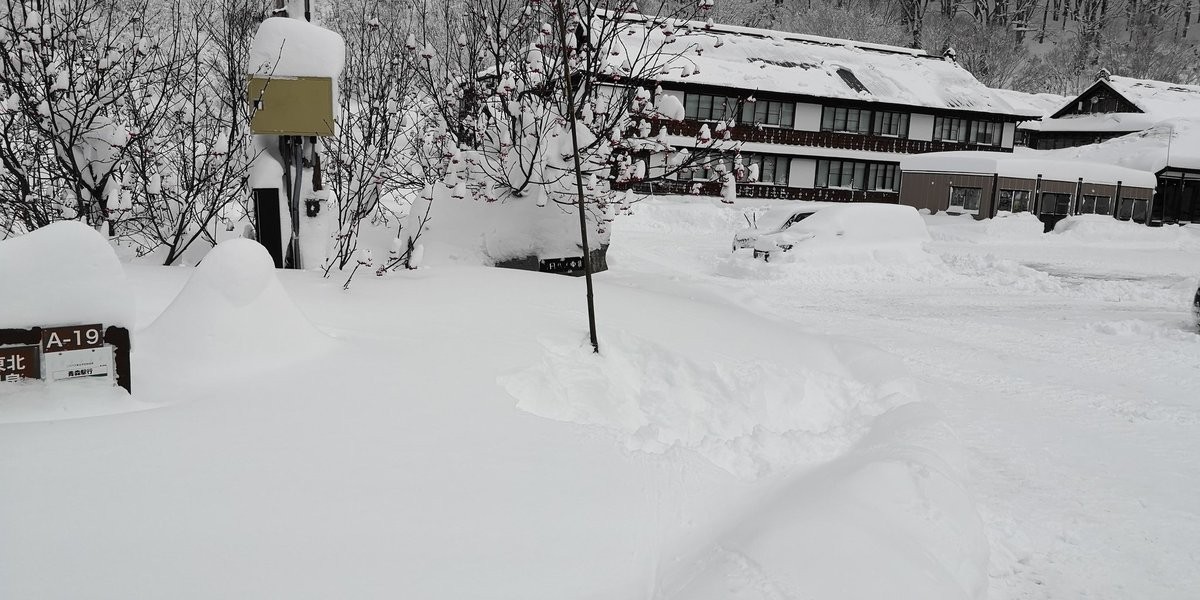 日本記者演很大！他被雪堆包圍：積雪到我的腰了　旁邊住戶「淡定拿證據打臉」：奧斯卡影帝就是你