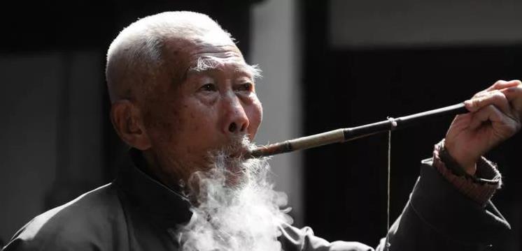 老人救了一條蛇，夜裡蛇托夢告訴他還會「窮三代」，老人靈機一動   子孫不缺錢花