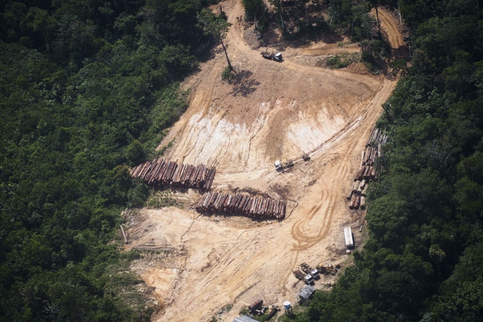 這塊土地被稱為「地球之肺」佔全球森林面積20%！卻在40年之內「被夷為平地」