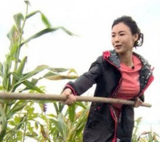 小王子出生！張柏芝「孩子的爸」被鎖定3個人物　離婚7年「獨自養2兒」活成最美單親媽　