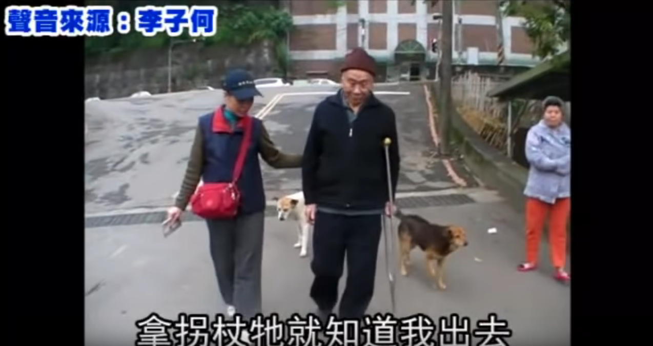 2忠犬風雨無阻 護89歲獨居老伯搭車！  趴坐對向站牌堅守  10年來成他「唯一親人」