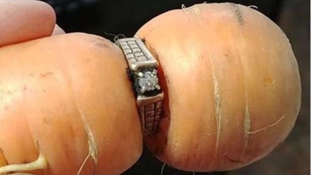 86歲老婆婆院子種菜，發現「戴戒指的胡蘿蔔」，拿起看清後高興壞了