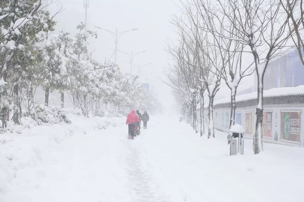遊日本深夜大雪沒房住!一看是「4位台灣旅客」憲哥霸氣加床:我們就住在一起好了