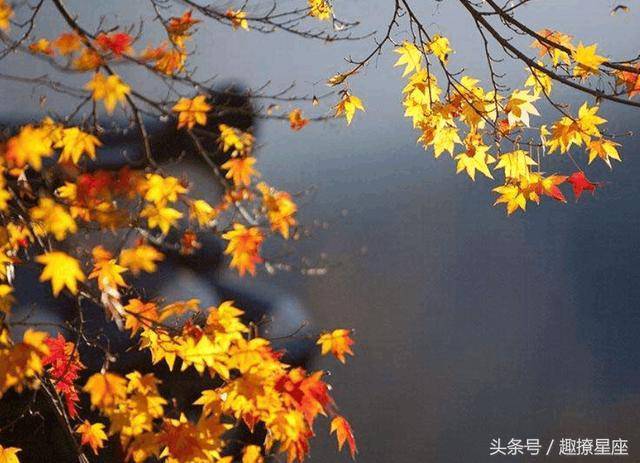 12月22號冬至節，必然翻身的幾大生肖，有你嗎？