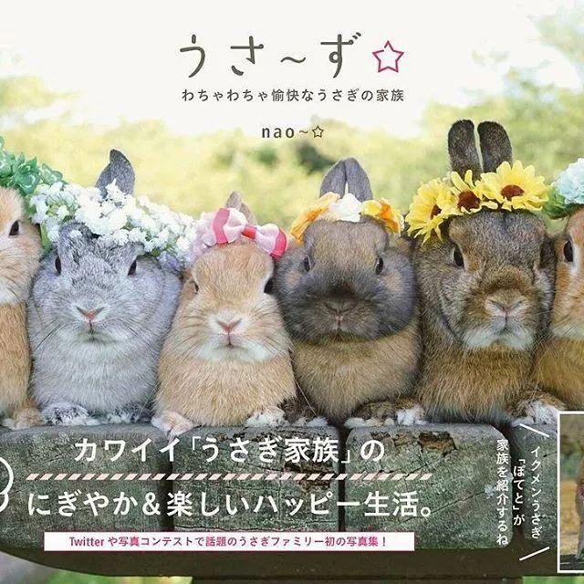 鼻要玩我的臉！「激萌兔兔家族」戴帽帽、穿衣服：太Q心臟受不了～