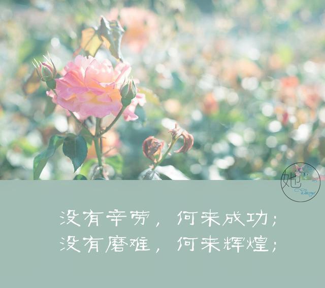 轉給孩子看！人生路靠自己走，再苦再難「跪著也要走完」