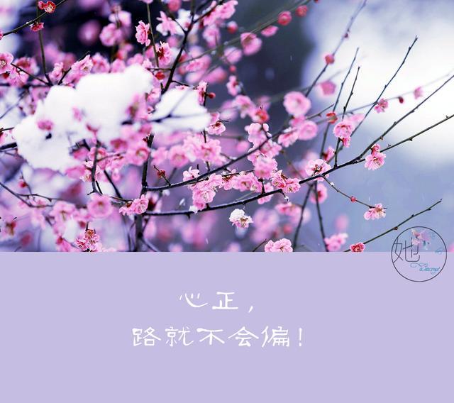 轉給孩子看！人生路靠自己走，再苦再難「跪著也要走完」
