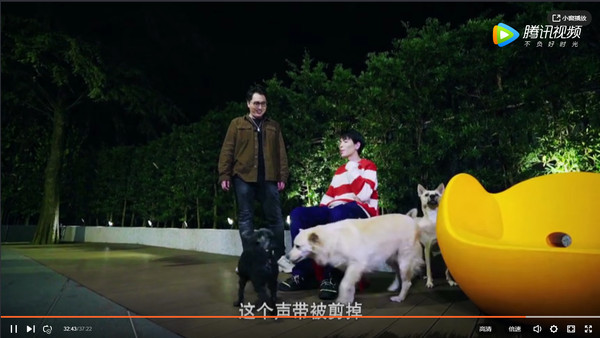 蕭敬騰獨居「8層樓破億豪宅」內部曝光！　10隻毛孩狂奔「不用出門遛狗」庭院就是公園