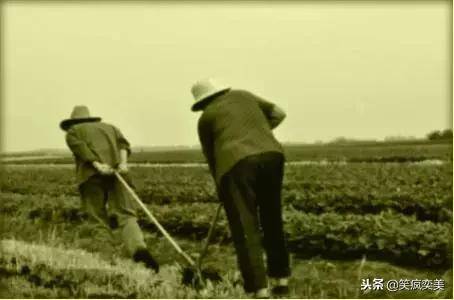 人間最苦的兩個人是老爸和老媽！每個人都該看看！