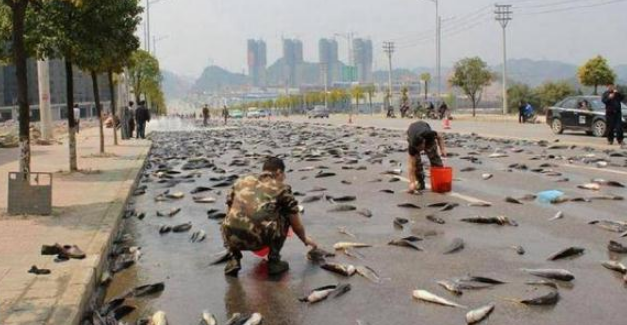 世界上最幸福的國家，每隔一陣就會「從天上掉魚」，運氣好能撿一頓海鮮大餐，不用辛苦勞作！ 