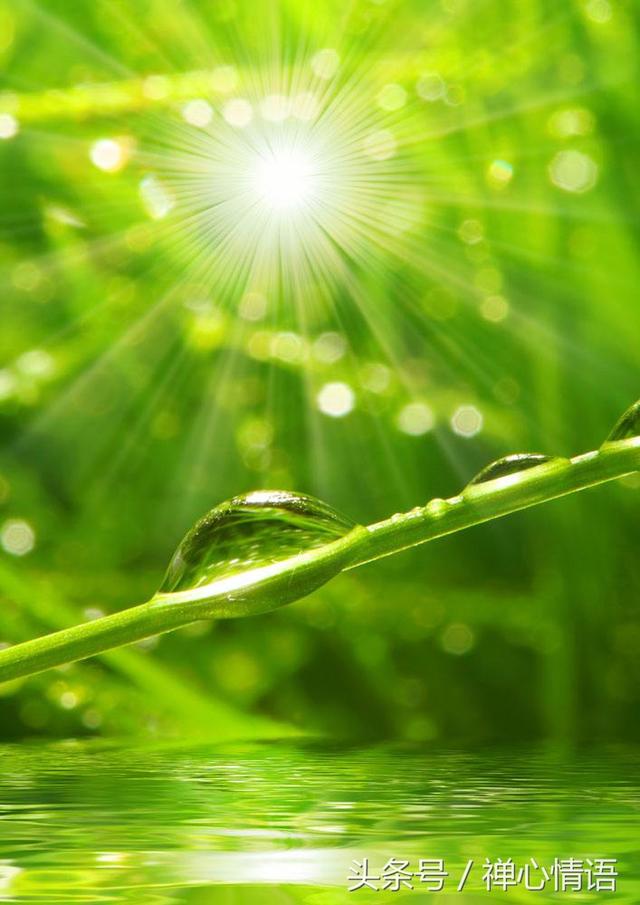 父母老了... 永遠不要對父母說這十句話！一定要記好