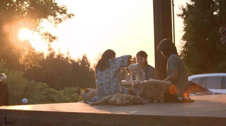 國民天后說自己只有錢!為愛「嫁醜男當農婦」4年後婚姻生活曝光,看完都想結婚了