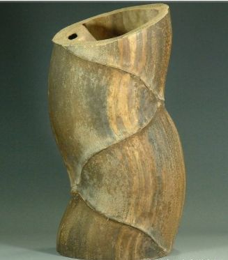 大媽上山砍竹子曬衣服，發現竹子「十分奇特」，帶回家兒子見了後情緒激動