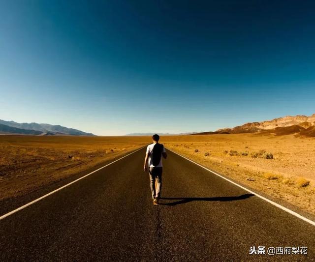 2019，走自己的路，做最好的自己！（受用一整年）