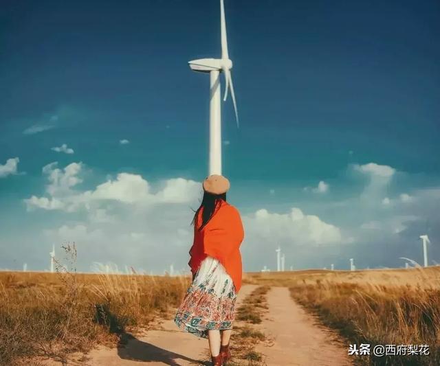 2019，走自己的路，做最好的自己！（受用一整年）