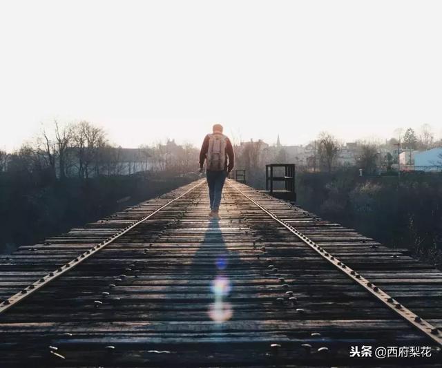 2019，走自己的路，做最好的自己！（受用一整年）