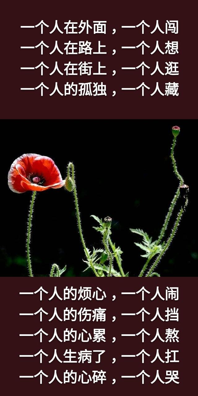 字字戳心！這一生累累累，這一世苦苦苦，這輩子難難難