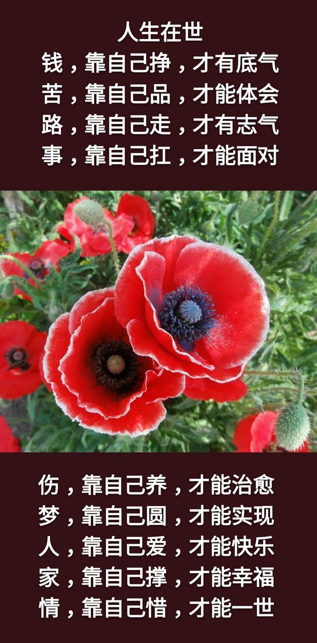 字字戳心！這一生累累累，這一世苦苦苦，這輩子難難難