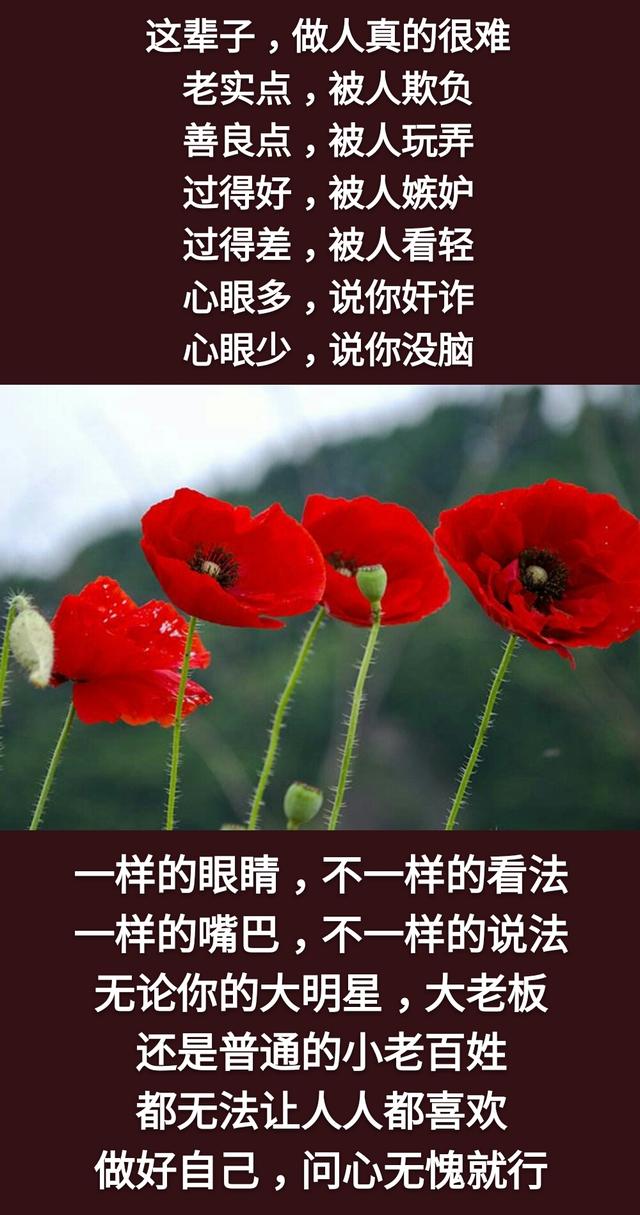 字字戳心！這一生累累累，這一世苦苦苦，這輩子難難難