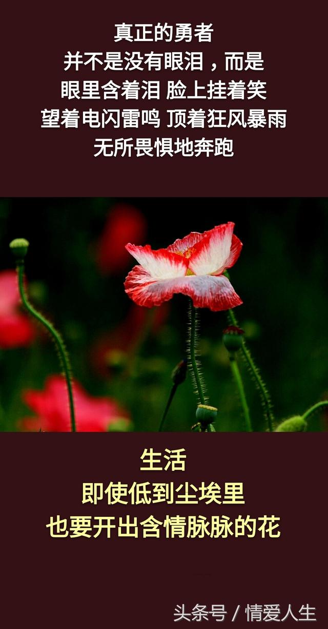 字字戳心！這一生累累累，這一世苦苦苦，這輩子難難難