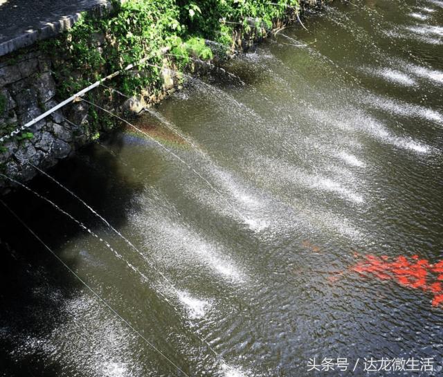張智霖夫妻「上山拜佛留影」拉近一看顯神蹟　雲中見「觀音菩薩踏蓮降福」：太幸運了
