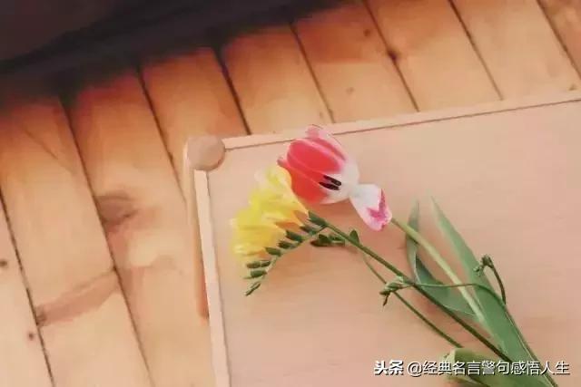 2019，我不會再委屈自己（句句戳心）