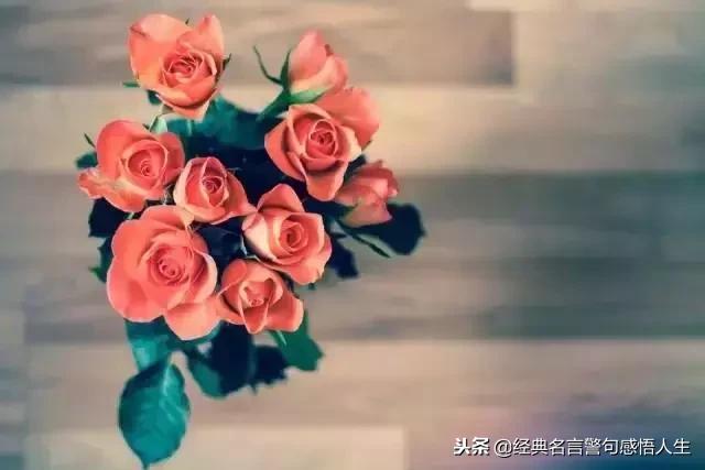 2019，我不會再委屈自己（句句戳心）