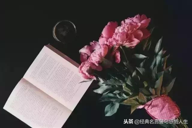 2019，我不會再委屈自己（句句戳心）