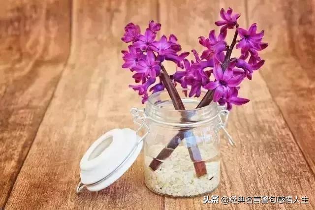 2019，我不會再委屈自己（句句戳心）
