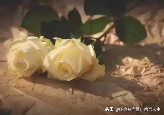 2019，我不會再委屈自己（句句戳心）