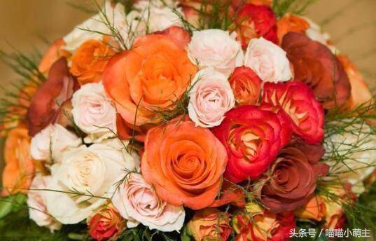 婆婆照顧雙胞胎兒子，3天一桶奶粉卻檢查出營養不良，鄰居的話讓我趕走婆婆