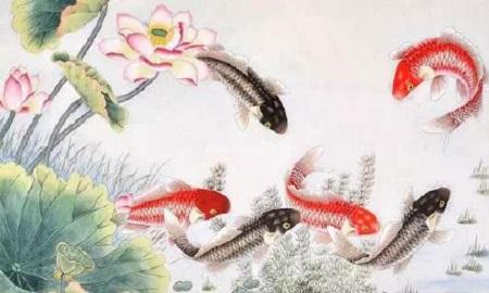 2019年好運最多的前5大生肖，一路好運連連到年底