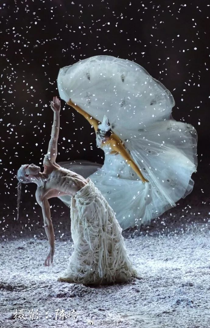 自律的人生有多可怕? 看完「48歲莫文蔚的腿、60歲楊麗萍的美背、49歲許晴的臀」就知道了