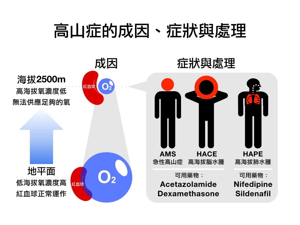 20年前救命恩不曾忘！醫師努力「送加壓艙上高山」被笑憨人   「3年半成功救7命」網友大讚：善的循環
