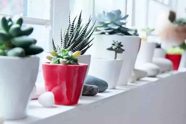 美女搬進山裡「靠撿破爛900天」進行舊屋大改造！老房子搖身一變成「典雅豪宅」結果讓人驚艷