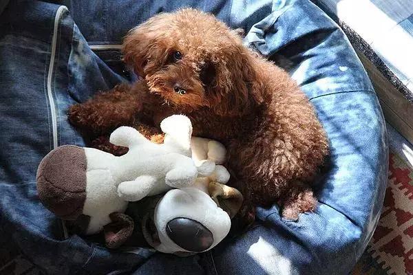 美女搬進山裡「靠撿破爛900天」進行舊屋大改造！老房子搖身一變成「典雅豪宅」結果讓人驚艷