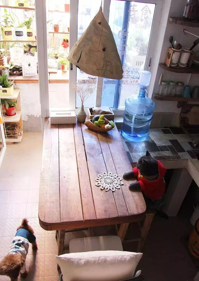 美女搬進山裡「靠撿破爛900天」進行舊屋大改造！老房子搖身一變成「典雅豪宅」結果讓人驚艷