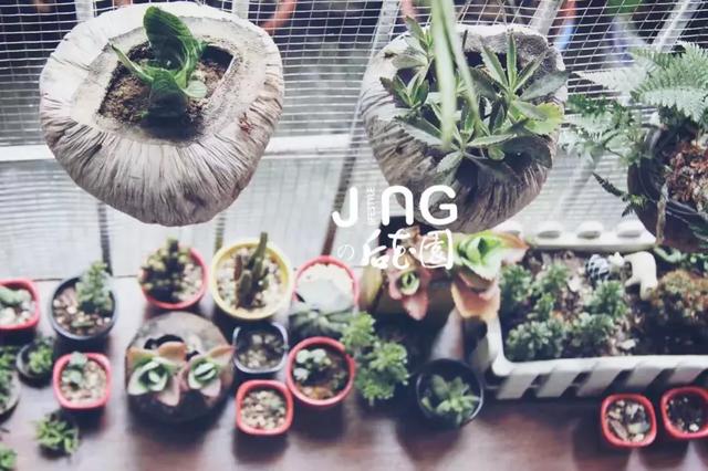 美女搬進山裡「靠撿破爛900天」進行舊屋大改造！老房子搖身一變成「典雅豪宅」結果讓人驚艷