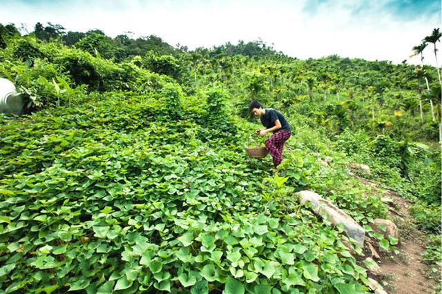 30歲小夫妻看盡世間百態「辭工作賣房」赴世外桃源!「隱居深山」養馬劈柴相愛到老